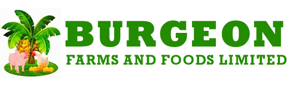 Burgeon Farms and Foods Limited