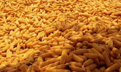 Post-Harvest Handling and Processing