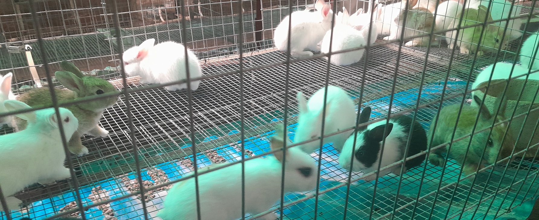 Cultivate . . . Nurture . . . Achieve